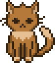 Miso, un chat roux